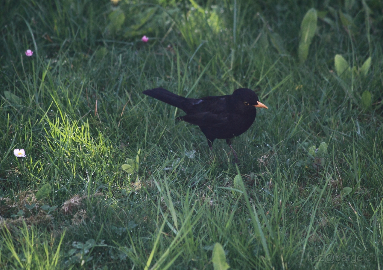 EOS 5D Mark II12_04_20148004.JPG